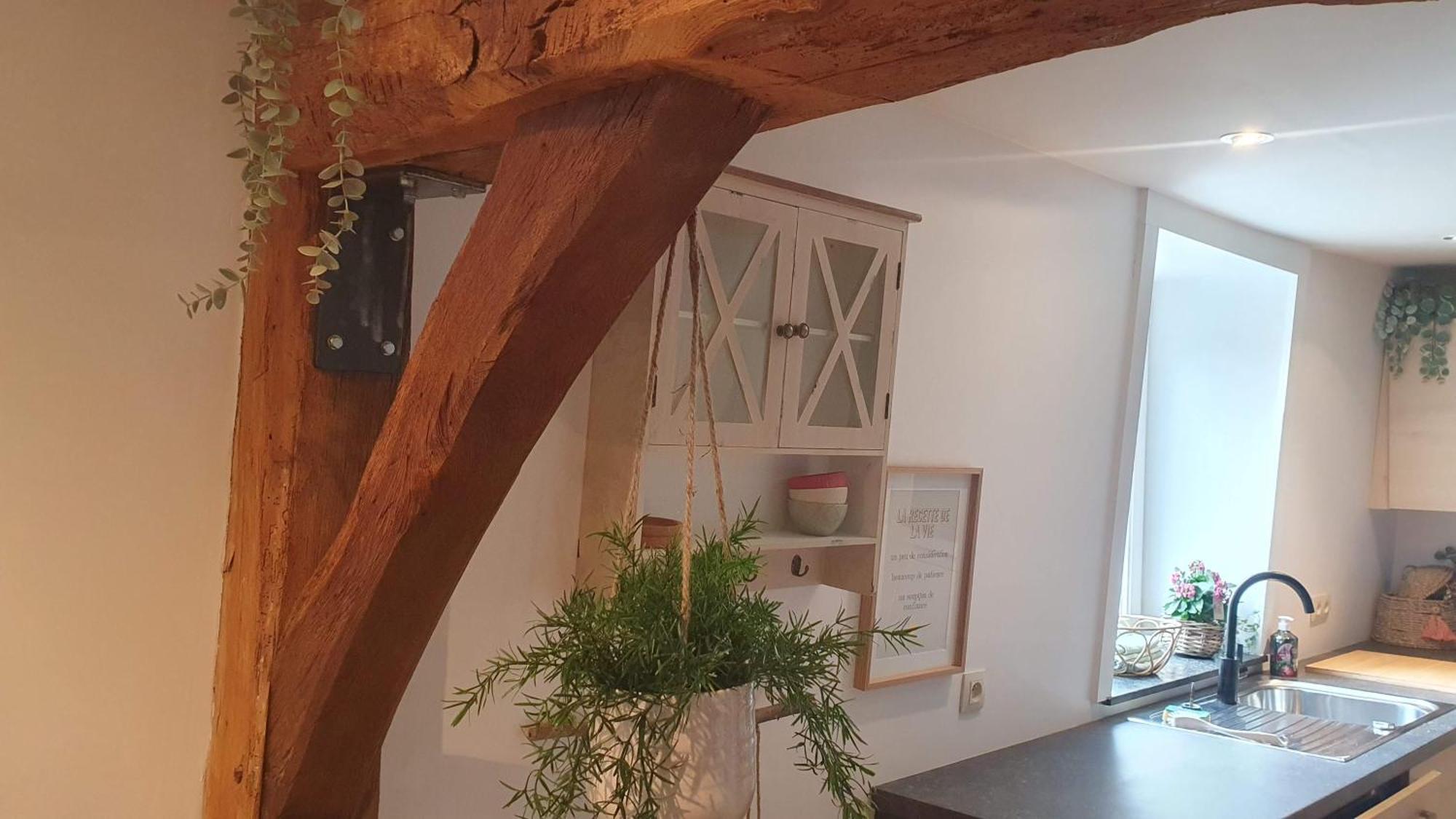 Petite Bulle De Saint Remacle Διαμέρισμα Stavelot Εξωτερικό φωτογραφία